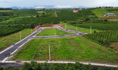 Gia Lai: Hàng loạt vi phạm trong quản lý rừng và đất bàn giao về địa phương