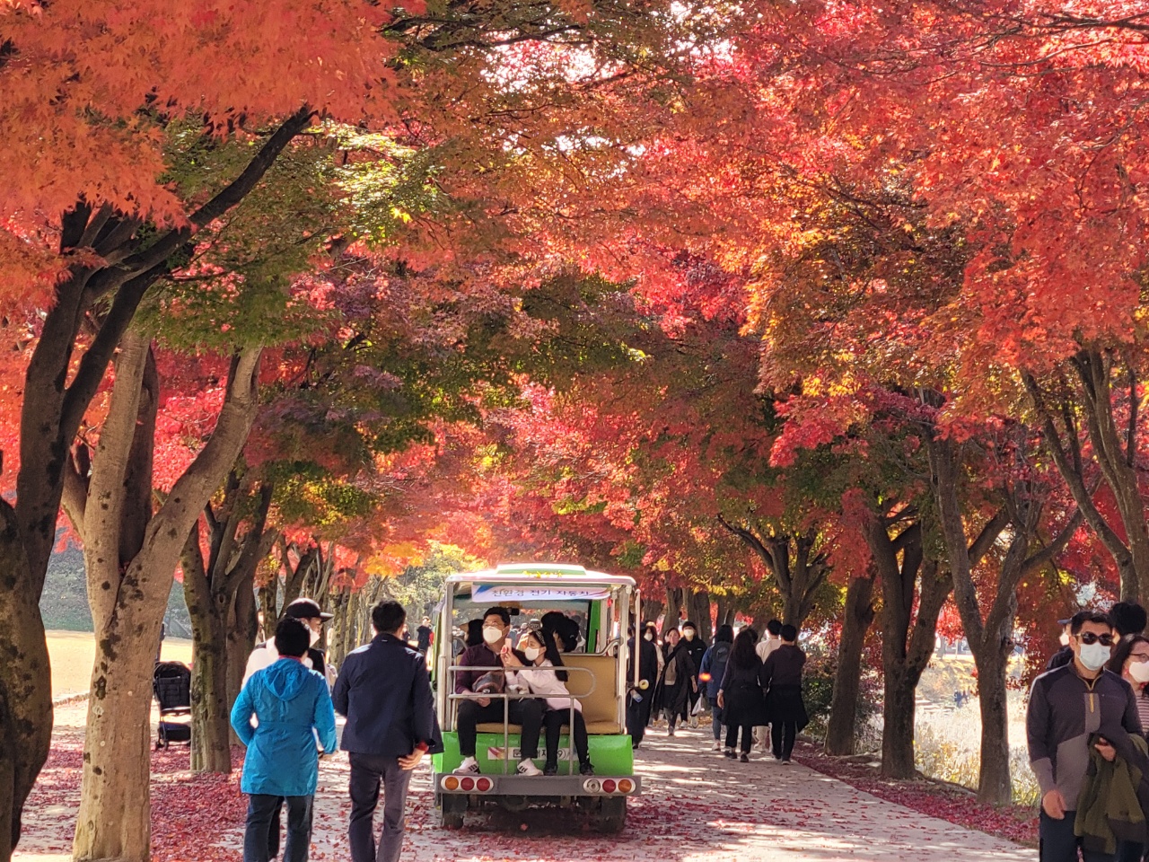 Gi&aacute; v&eacute; đến c&aacute;c điểm du lịch tại Đ&ocirc;ng Bắc &Aacute; m&ugrave;a thu đ&ocirc;ng tăng so với dịp đầu năm nhưng 