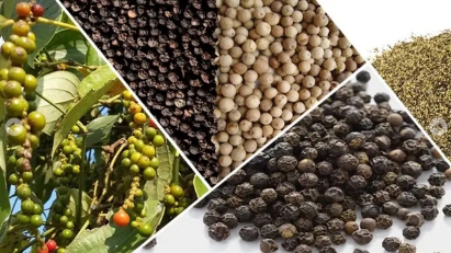 2024 pepper exports expected to hit $1 bln 