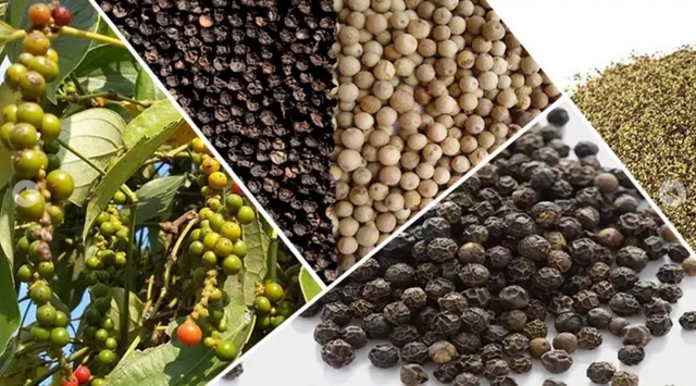 2024 pepper exports expected to hit $1 bln 