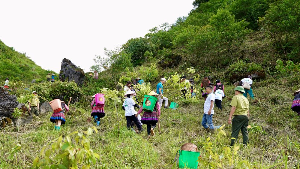 Đông đảo người dân tham gia trồng phục hồi rừng tại xã Hang Kia, huyện Mai Châu, tỉnh Hòa Bình.