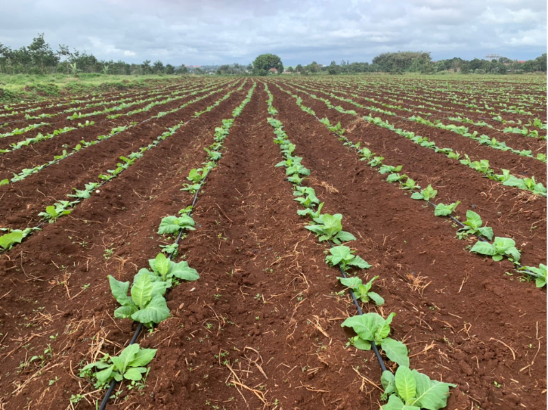 BAT Vietnam to protect environment and create positive social value through Nature-based Solutions