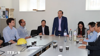 Renewable energy cooperation between Vietnam and Belgium to be boosted