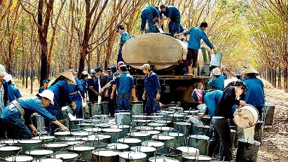 2024 rubber exports expected to hit $3.2 bln following price hike