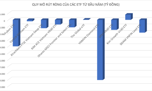 Được phép huy động 4.000 tỷ để đầu tư, nhưng Fubon ETF lại rút hơn 4.000 tỷ khỏi chứng khoán Việt Nam 
