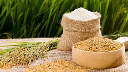 Vietnamese rice export prices hit global record high