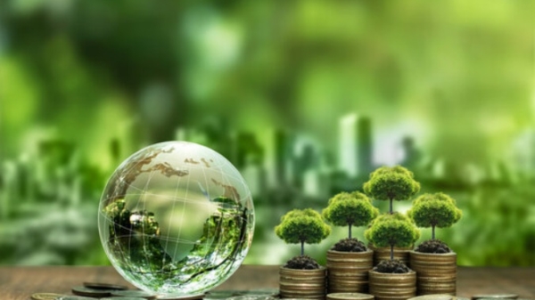 Thị trường tín chỉ carbon: Chưa có hệ sinh thái chính sách