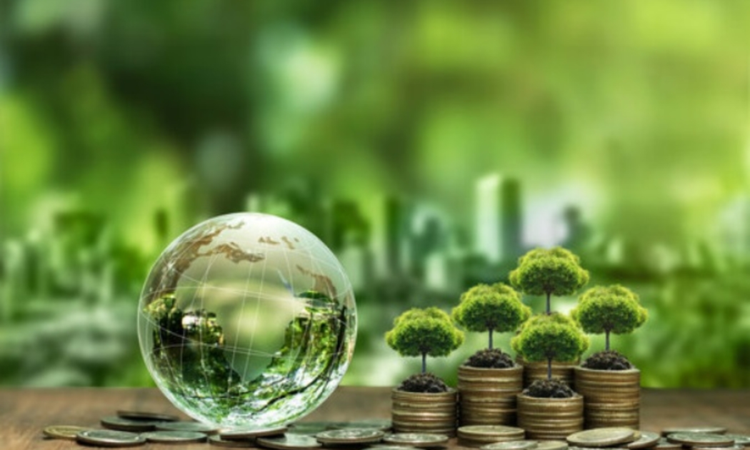 Thị trường tín chỉ carbon là yếu tố quan trọng để tiến tới Netzero