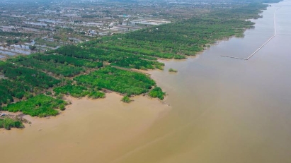 $35.8 mln to be invested in preventing coastal erosion in southernmost Ca Mau proovince