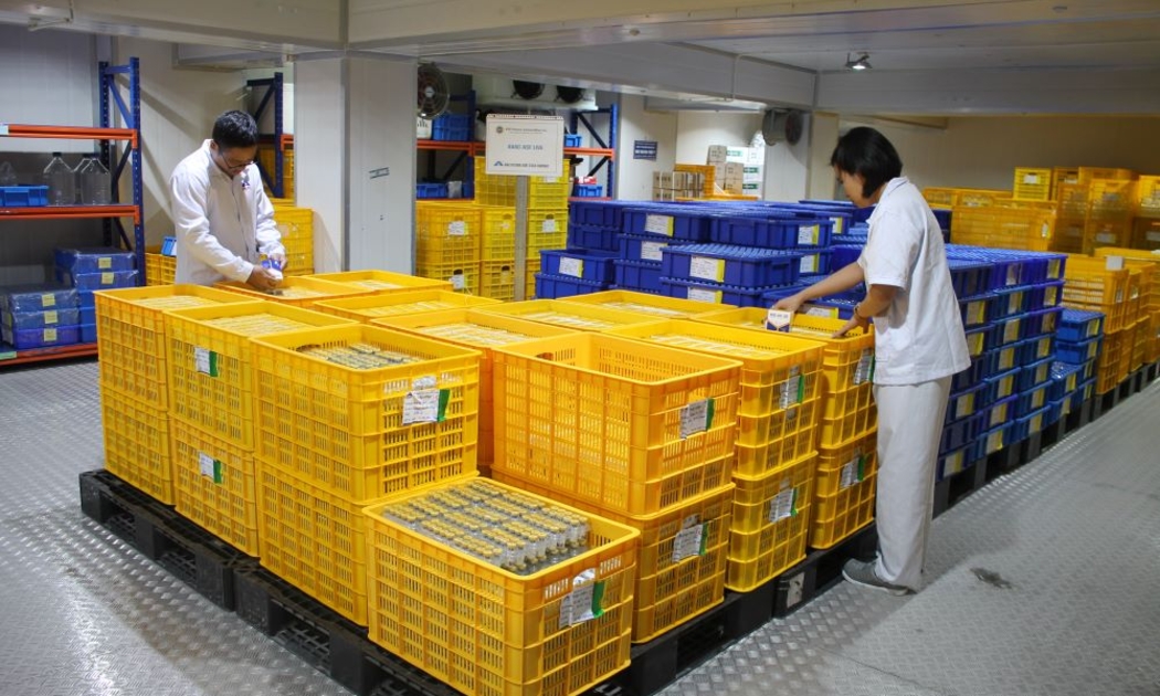 Lô hàng 150.000 liều vaccine dịch tả lợn châu Phi sẽ được xuất khẩu sang Philippines trong tuần này. Ảnh: Chu Khôi.