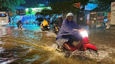 Vietnam among top four countries in disaster readiness worldwide