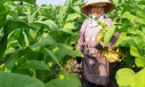 Tăng thuế tiêu thụ đặc biệt cần có lộ trình phù hợp để các bên liên quan có sự chuẩn bị