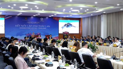 Workshop connecting Lao Cai and Thai businesses opens 