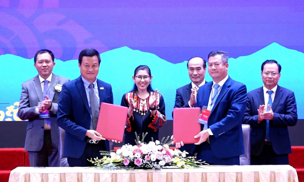 Hội nghị
