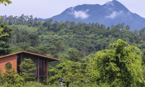 Villa ngoại ô: Những không gian sống tương tác với thiên nhiên