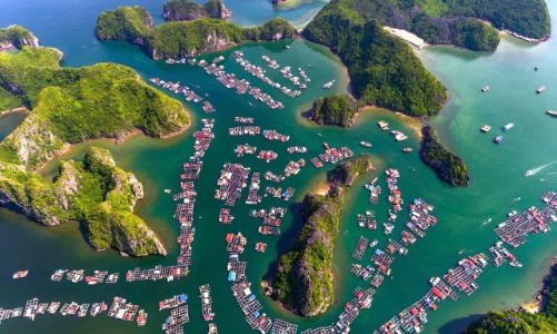 Hải Phòng tham vọng đón 10 triệu lượt du khách trong năm 2025