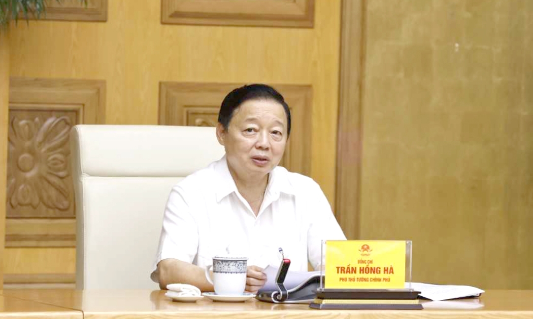 Phó Thủ tướng nhấn mạnh cần có những giải pháp tháo gỡ vướng mắc ngay từ giai đoạn chuẩn bị dự án, phê duyệt chủ trương đầu tư - Ảnh: VGP.
