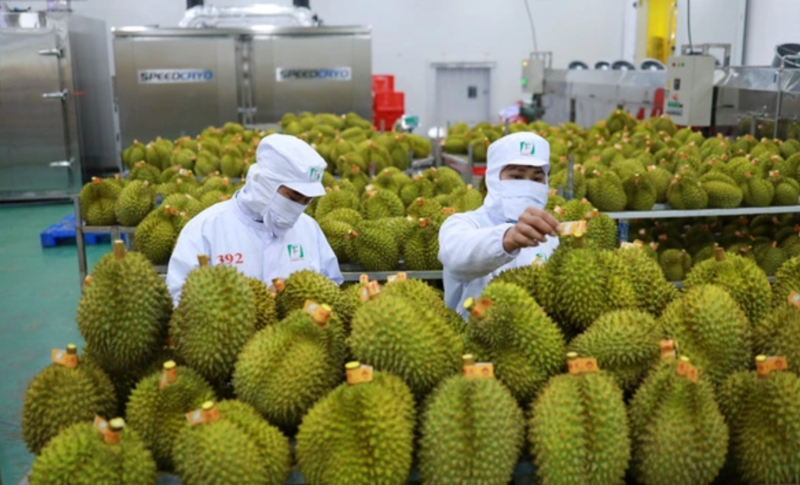 8M fruit & vegetable exports hit $4.58 bln