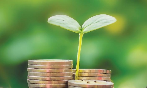 Tăng thuế tiêu thụ đặc biệt, cân nhắc mức thuế và lộ trình phù hợp