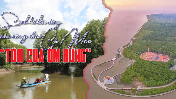 Sinh kế bền vững của nông dân Cà Mau: “Tôm cua ôm rừng”