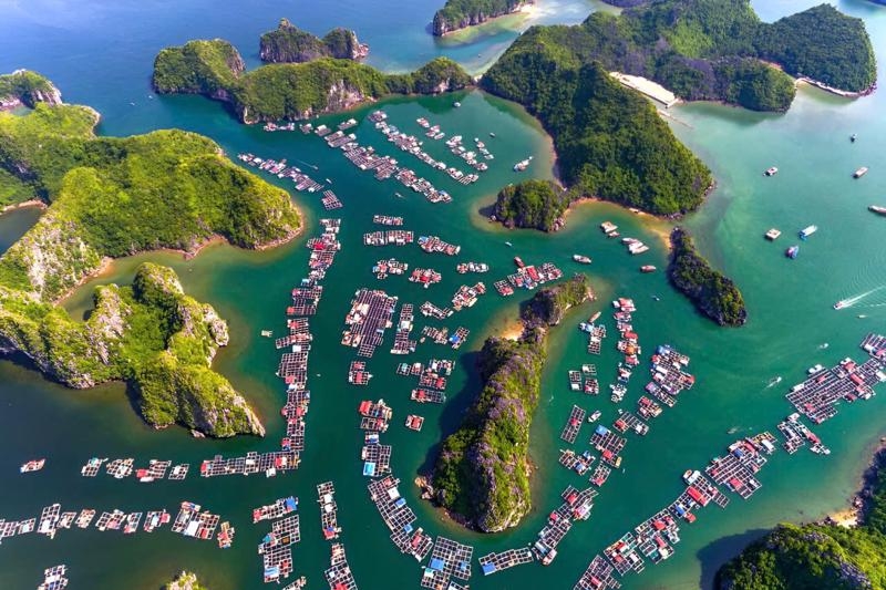 Hai Phong targets 10 mln tourists by 2025