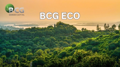 Bamboo Capital Group founds BCG Eco to advance sustainable development goals