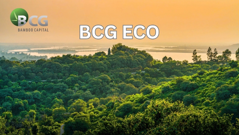 Bamboo Capital Group founds BCG Eco to advance sustainable development goals