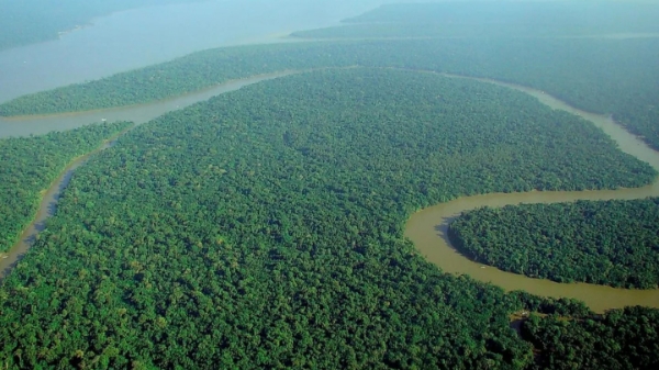 Chiến lược tín chỉ carbon trị giá 11 tỷ đô của Brazil
