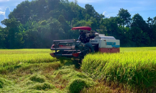 Bão số 3 tiến gần, các tỉnh Bắc Trung Bộ khẩn trương triển khai ứng phó