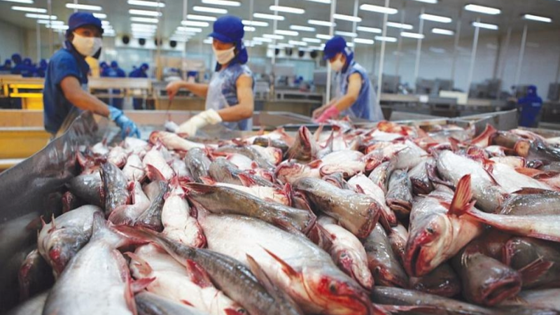 Vietnam's seafood exports pose positive growth