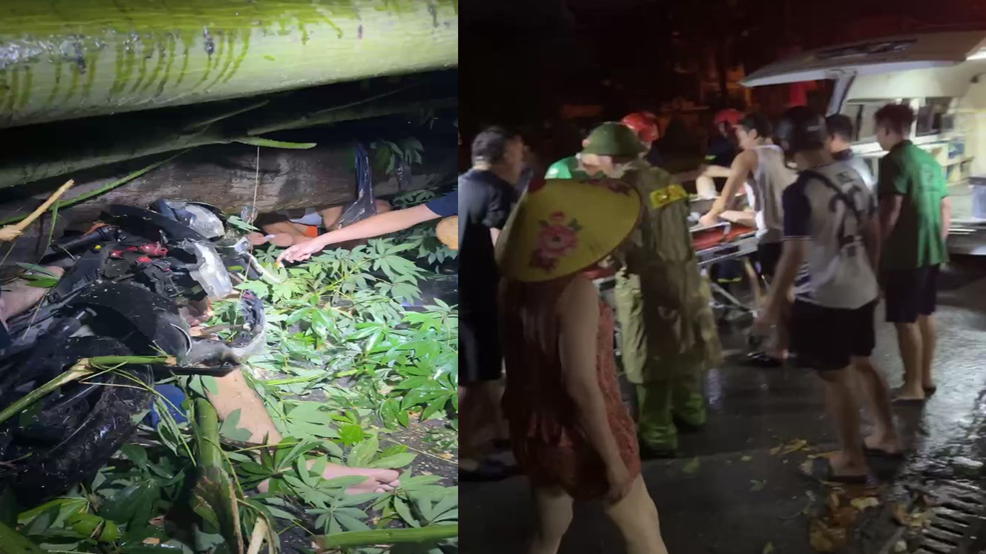 Khoảng 23h tối qua, 5/9, tại thành phố Thanh Hóa đã có mưa to kèm gió mạnh khiến nhiều cây cổ thụ trên địa bàn phường Đông Vệ bị đổ. Một thanh niên đang điều khiển xe máy, khi đi đến ngã ba Voi, đường Quang Trung giao với đại lộ Võ Nguyên Giáp, đã bị cây lớn đổ đè lên người.Khi nhận được tin báo, chính quyền địa phương cùng lực lượng cứu hộ đã tới hiện trường cắt cây, đưa người gặp nạn đi cấp cứu. Lực lượng chức năng và người dân đã nhanh chóng cắt cây, đưa người gặp nạn đi cấp cứu