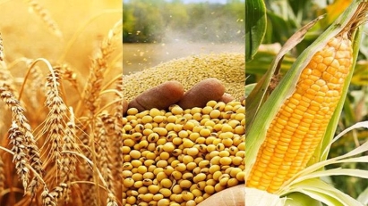 Vietnam exports $0.67 bln worth of animal feed and raw materials