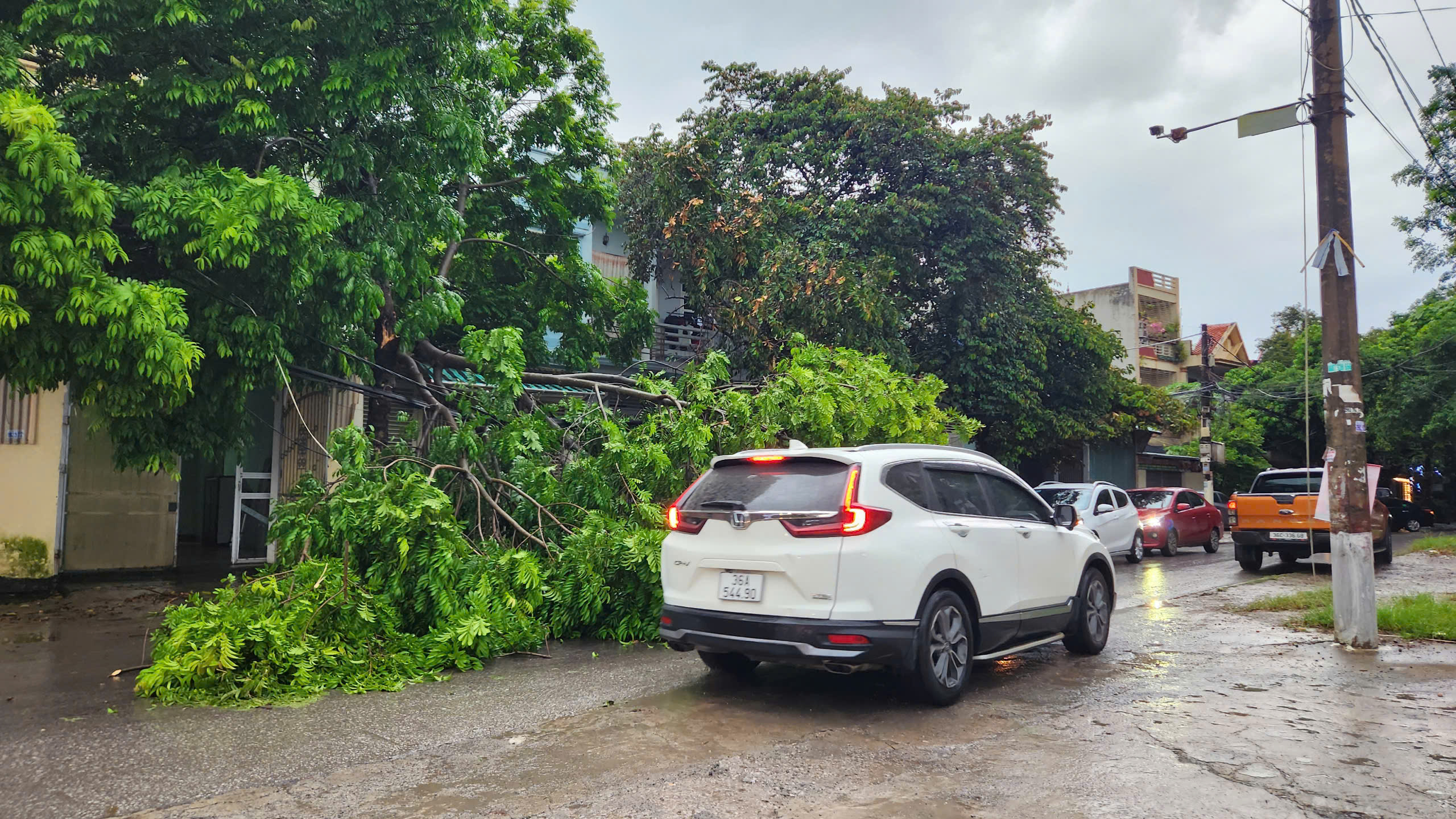 Các phương tiện di chuyển trên đường Lê Thánh Tông, thành phố Thanh Hóa gặp khó khăn khi gặp một cây lớn bị gãy, rơi xuống làn đường