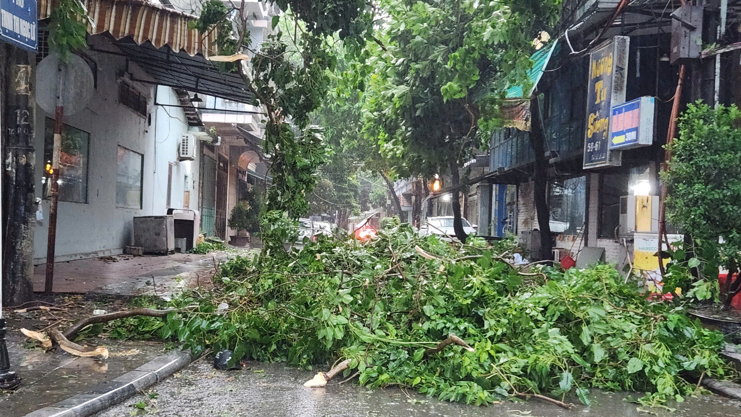 Khu vực tuyến đường Trịnh Thị Ngọc Lữ, thành phố Thanh Hóa nhiều cành cây gãy đổ chắn ngang 