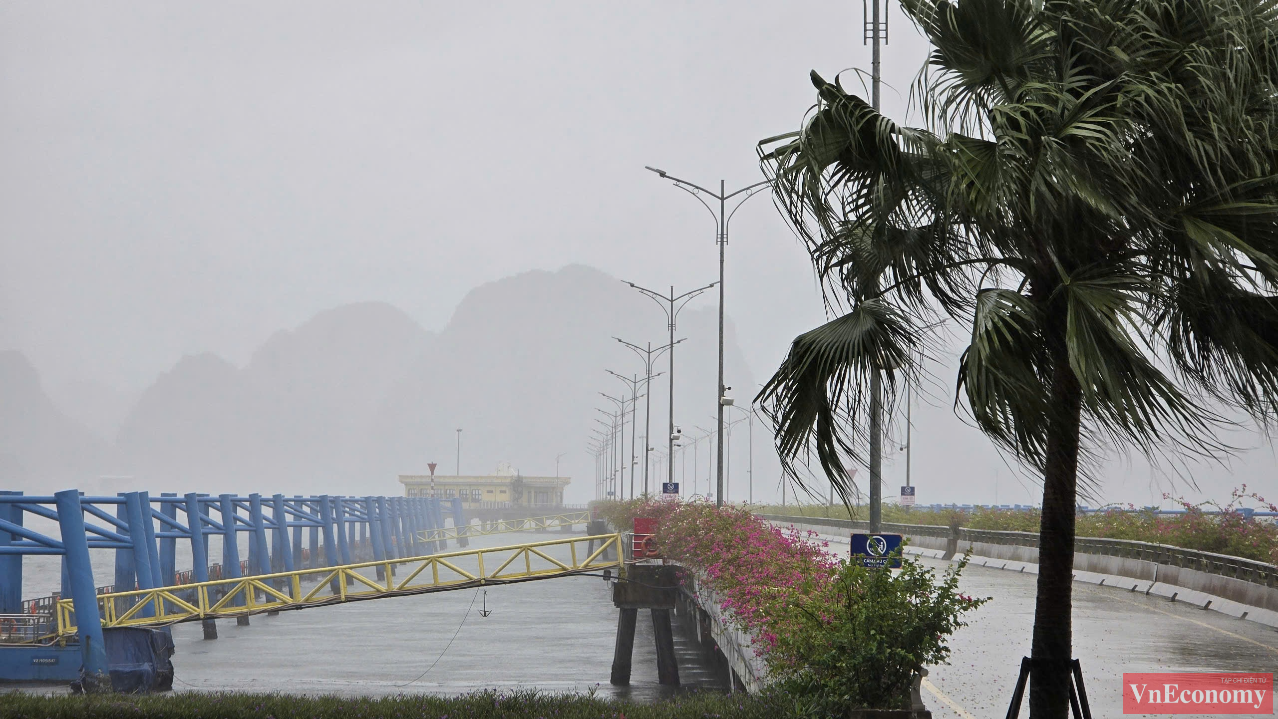 Khu vực biển Vân Đồn (Quảng Ninh), nhiều tàu bị đứt neo trôi dạt trên biển. Gió lớn giật tung nóc một số tàu, thuyền.