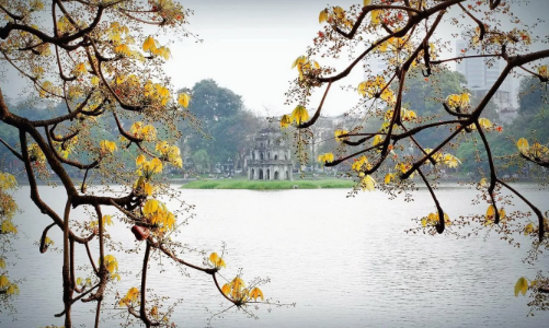 Đã có 11,4 triệu khách quốc tế đến Việt Nam trong 8 tháng qua