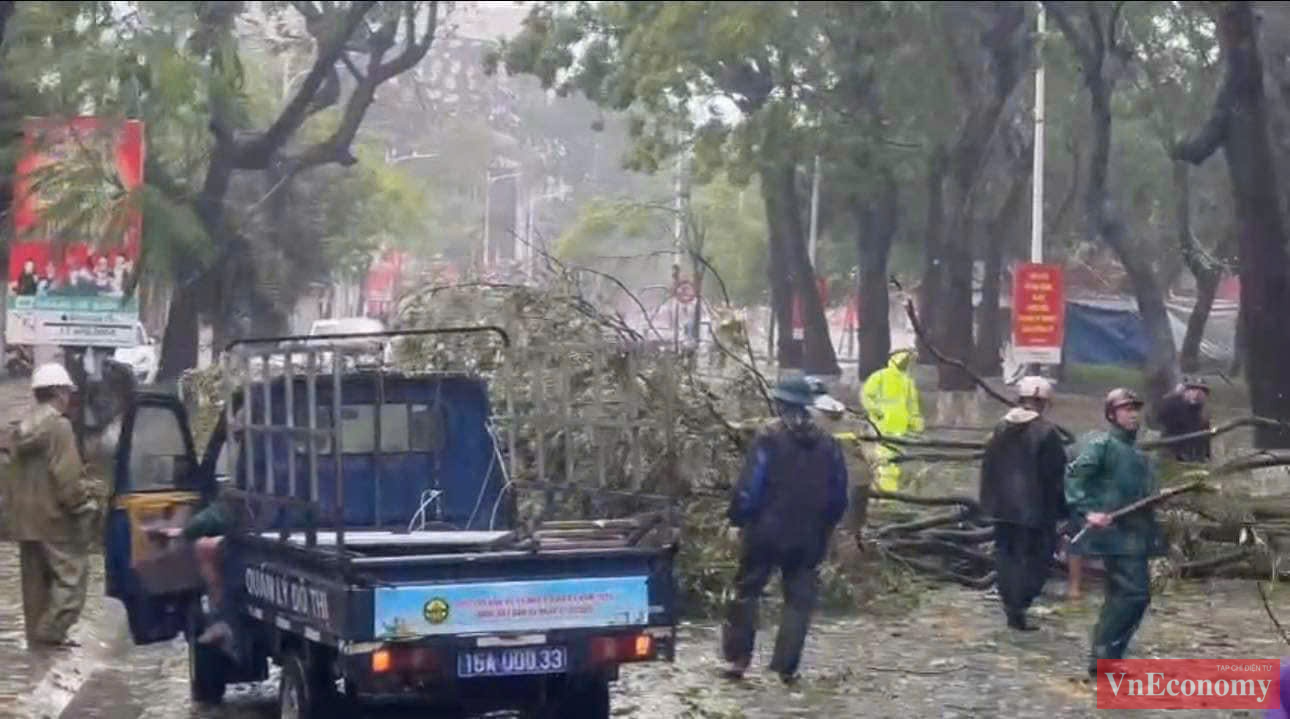 Mái nhà các hộ dân, cửa kính, mái tôn một số khách sạn bị giật bung. Mưa lớn khiến trời mù mịt, tầm nhìn rất hạn chế. 