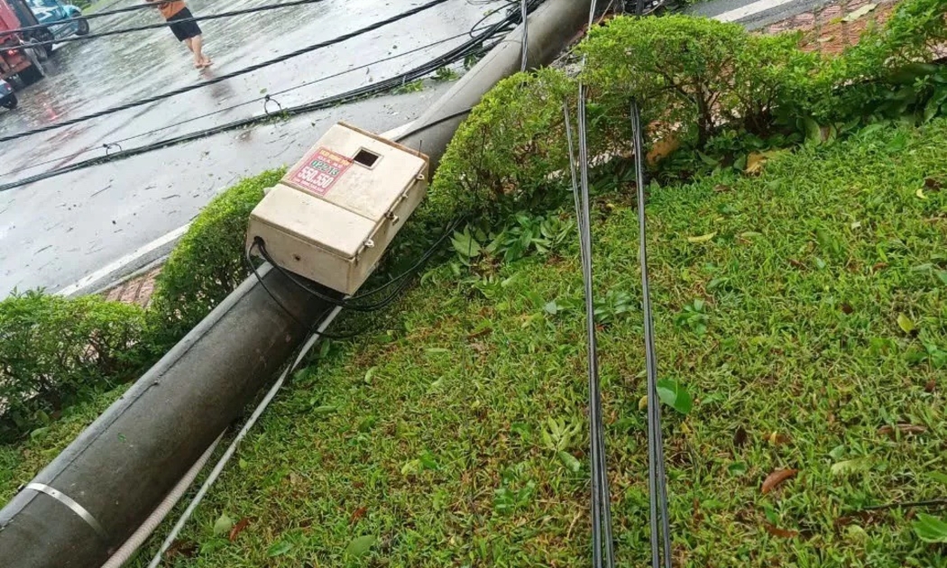 Hệ thống lưới điện phân phối tỉnh Thái Bình và Hưng Yên bị đổ do bão Yagi gây ra.