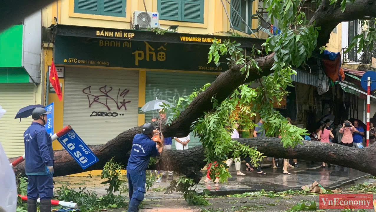 Tại thủ đ&ocirc; H&agrave; Nội, rất nhiều c&acirc;y xanh đẹp tại c&aacute;c điểm check-in nổi tiếng đ&atilde; g&atilde;y đổ.