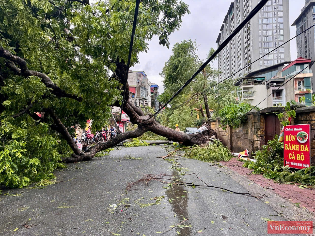 Cây đổ chắn ngang đường trước cửa một trường học trên đường Hoàng Hoa Thám.