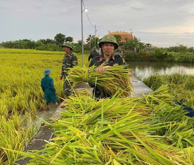 Cán bộ, chiến sĩ, bộ đội thường trực và dân quân tự vệ khẩn trương giúp đỡ nhân dân xã Lộc Sơn, huyện Hậu Lộc.