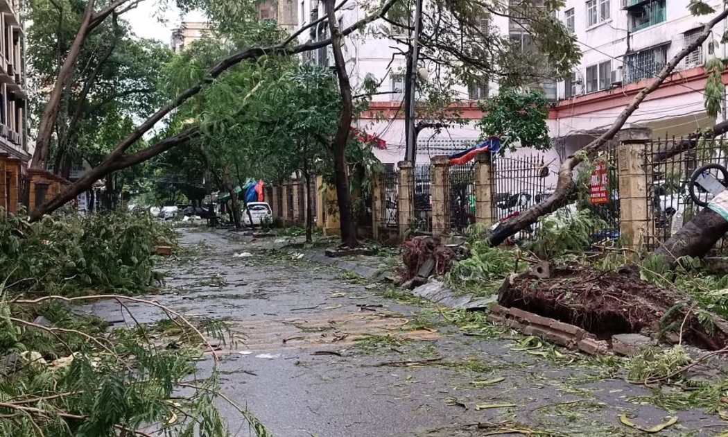 Cây đổ ngổn ngang sau bão số 3 ở Hà Nội.