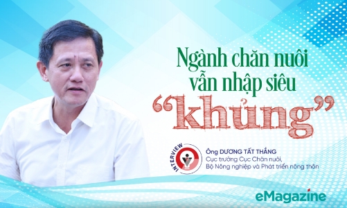 Ngành chăn nuôi vẫn nhập siêu “khủng”