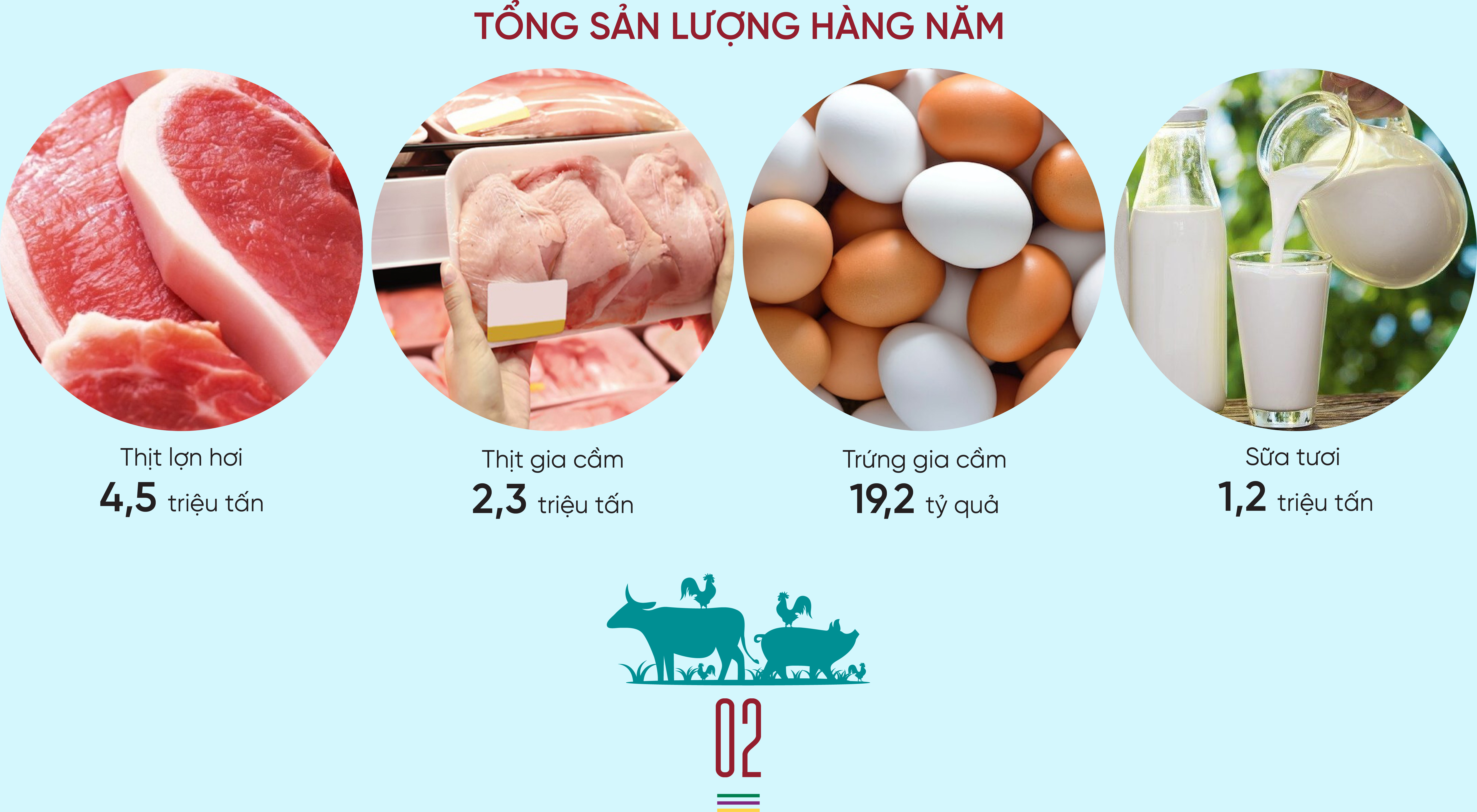 Ngành chăn nuôi vẫn nhập siêu “khủng” - Ảnh 3