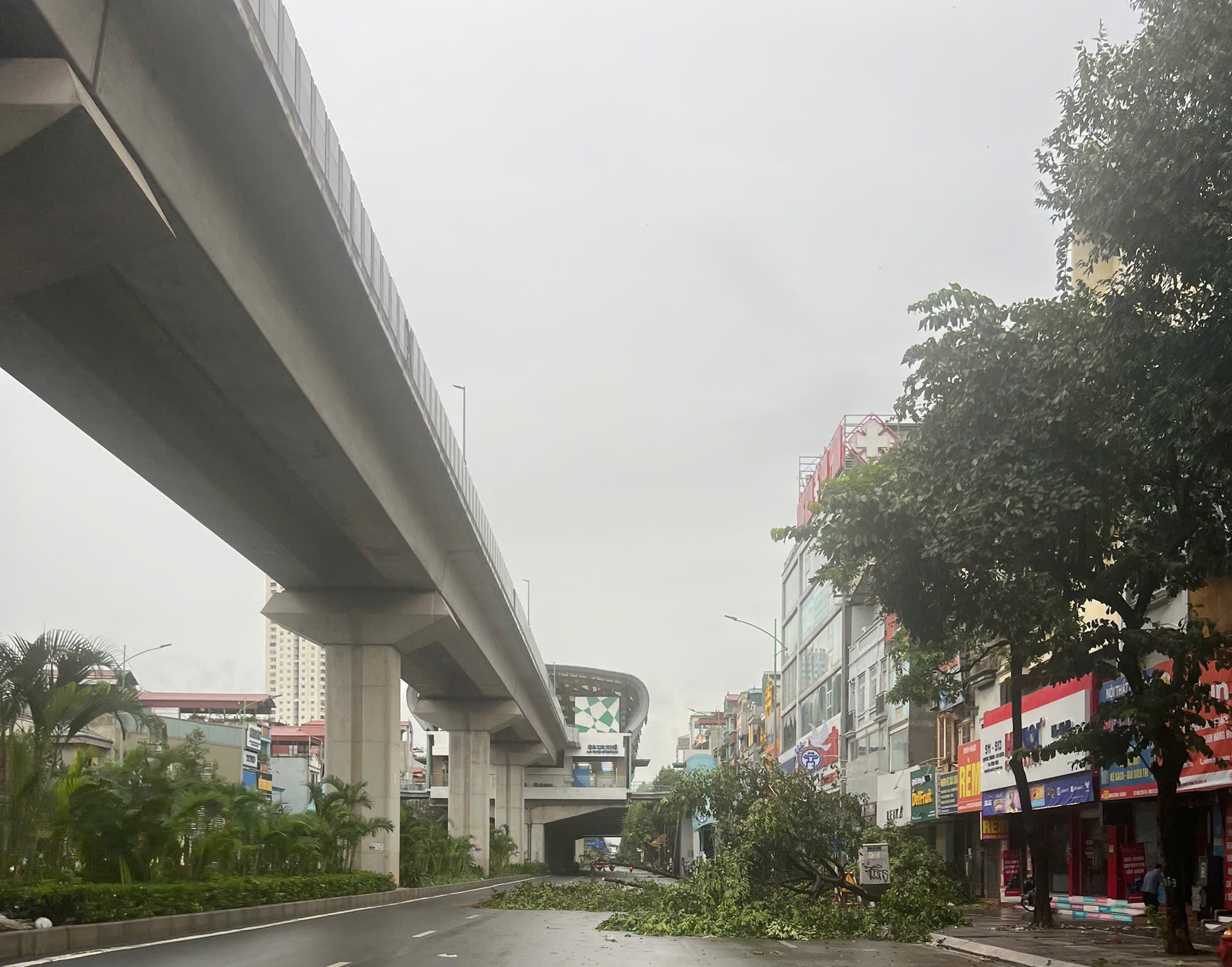 Cây đổ trên tuyến đường sắt Cát Linh - Hà Đông. Ảnh: VGP.