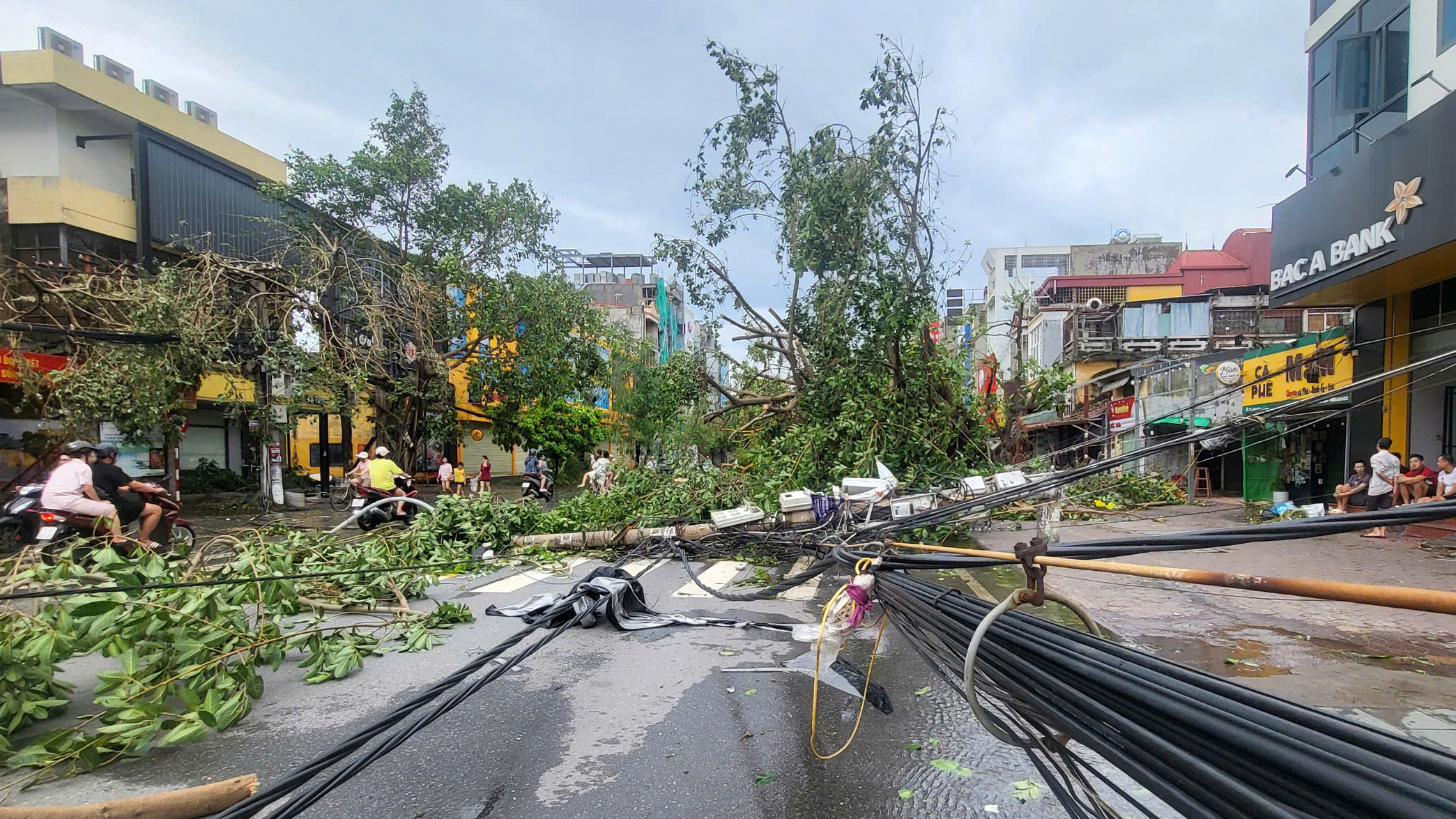 Hàng loạt cây xanh và cột điện gãy đổ trên đường phố nội thành Hải Phòng
