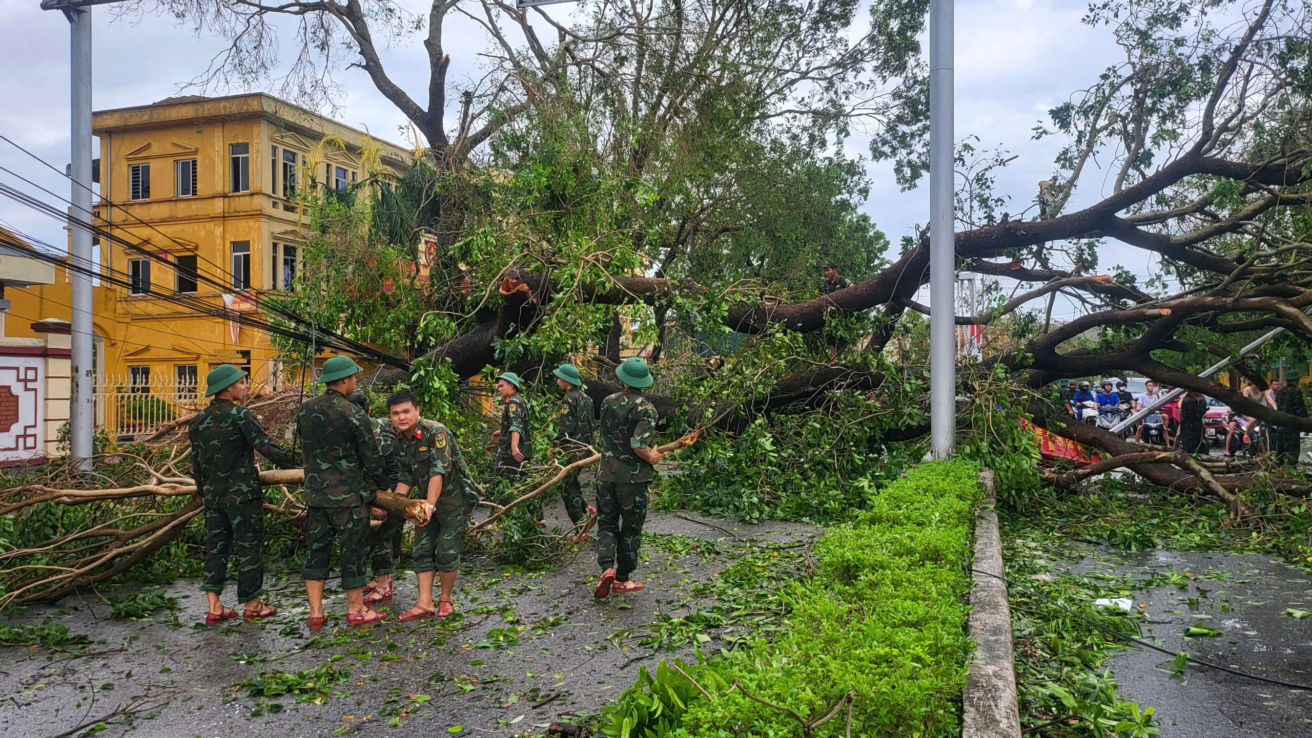 Lực lượng quân đội dọn dẹp cây xanh gãy đổ sau cơn bão số 3