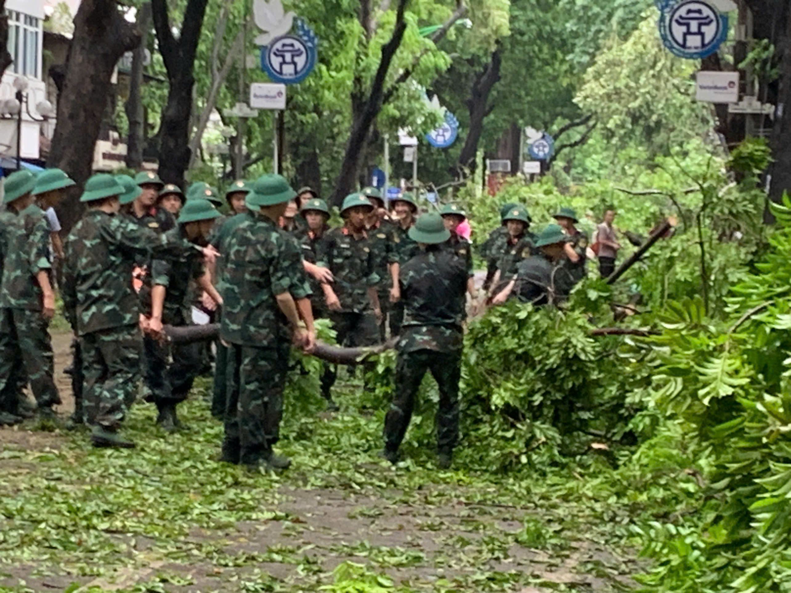 Lực lượng quân đội dọn dẹp cây xanh đổ, gãy sau bão số 3 - Ảnh: Ngọc Diệp