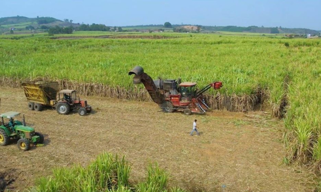 Cơ giới hoá đồng bộ tại vùng mía nguyên liệu nhà máy đường An Khê.
