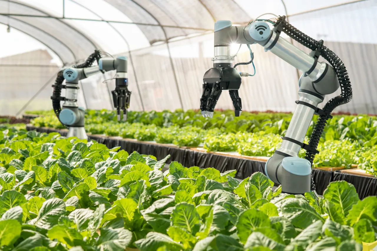 Một số công ty ứng dụng AI và robot để tự động hóa thử nghiệm, phân tích và tối ưu hóa quá trình lên men sinh khối. 